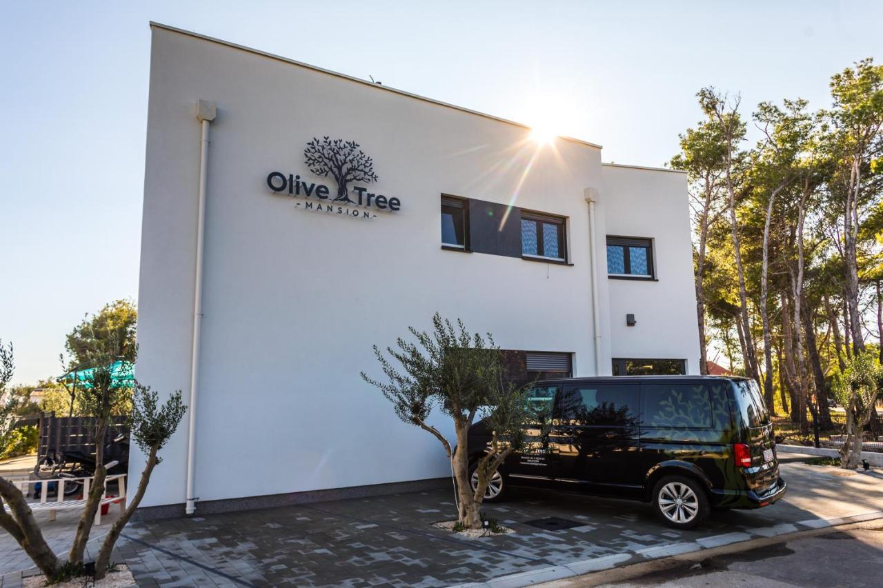 Olive Tree Mansion Leilighet Vir Eksteriør bilde